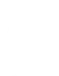Bostec Inc. logo