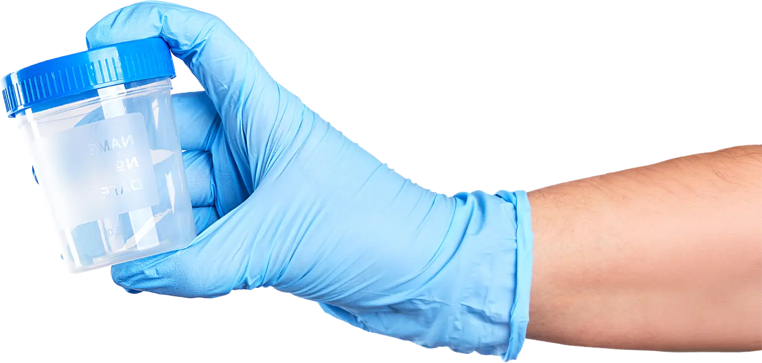 Lab technician holding urine collection cup for DOT drug test at Bostec Inc. Lynden WA